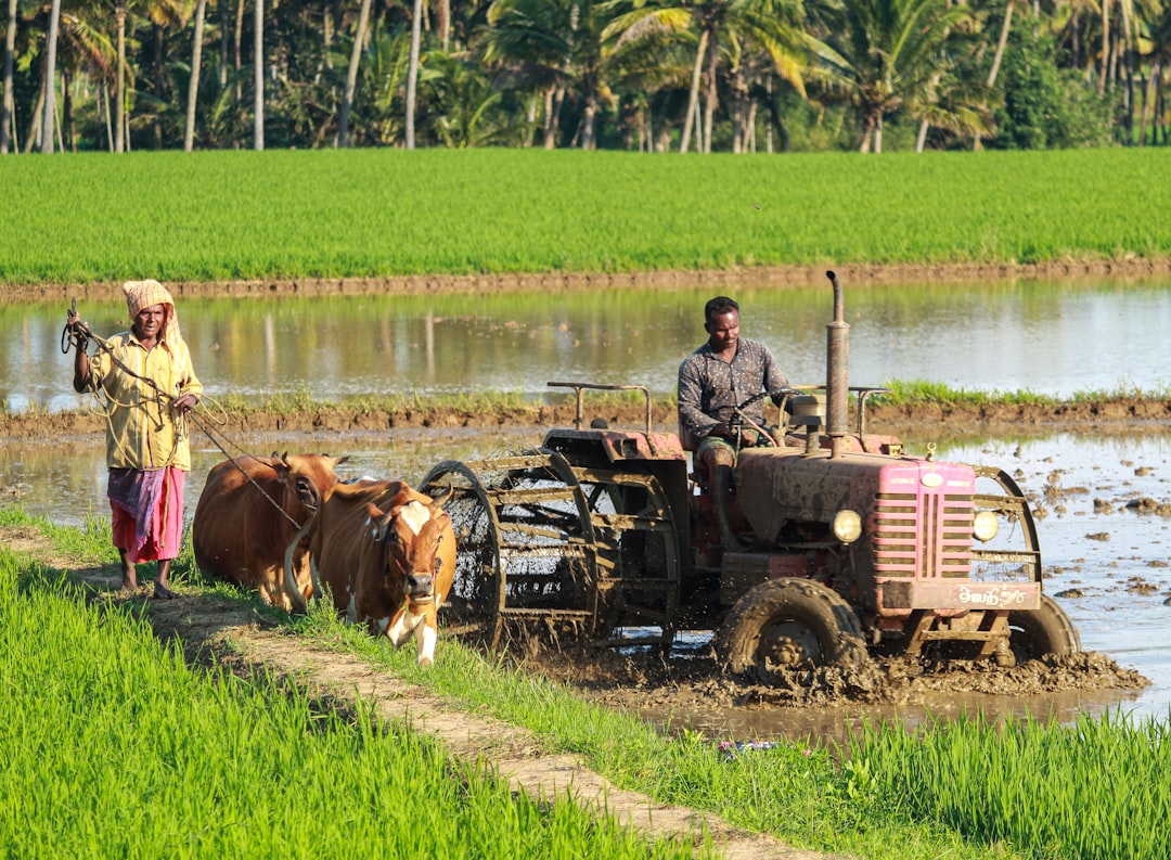 Farm agriculture crops