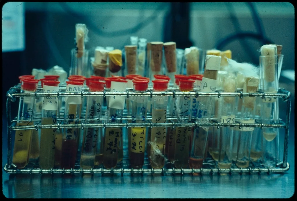 Medical hospital laboratory science laboratory